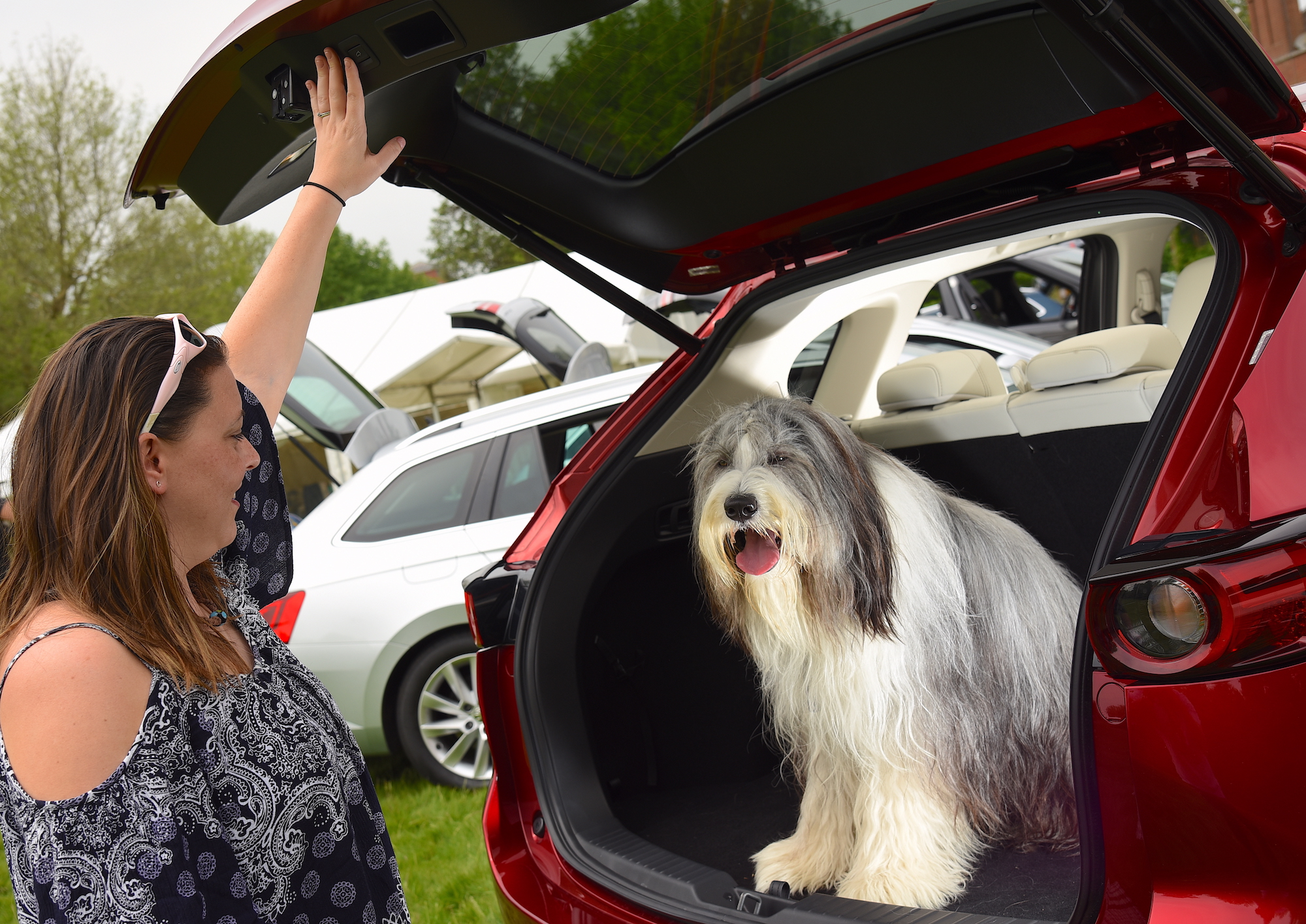 This is the law on leaving your dog in a hot car Car Keys
